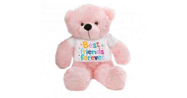 Buy Pink 2 feet Big Teddy Bear wearing a Best Friends Forever T